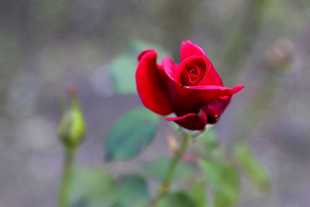 Photograph by Татьяна Атисс