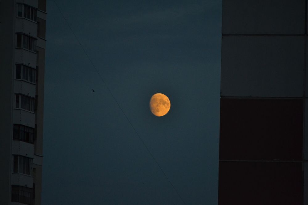 Фотография автора Владислав Базылев