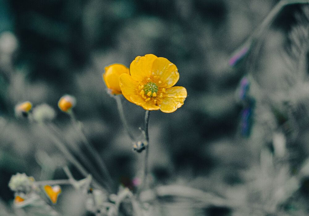 Photograph by Альберт Габбасов