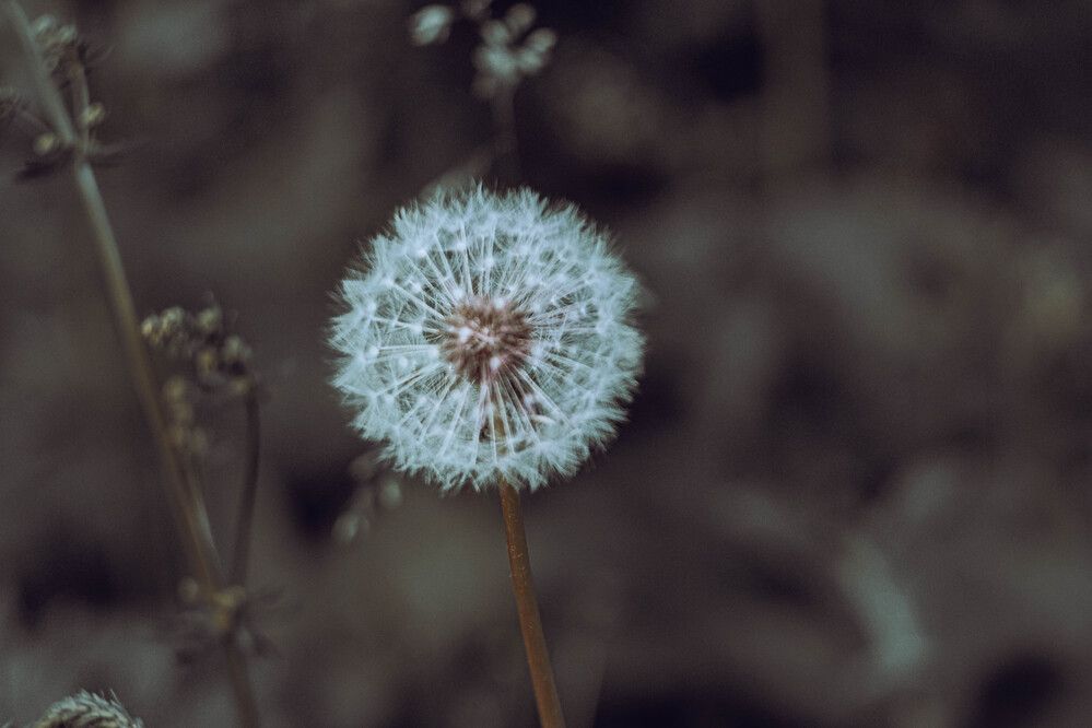 Photograph by Альберт Габбасов