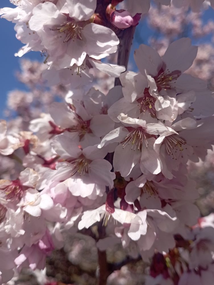 Фотография автора Natalia Khodina