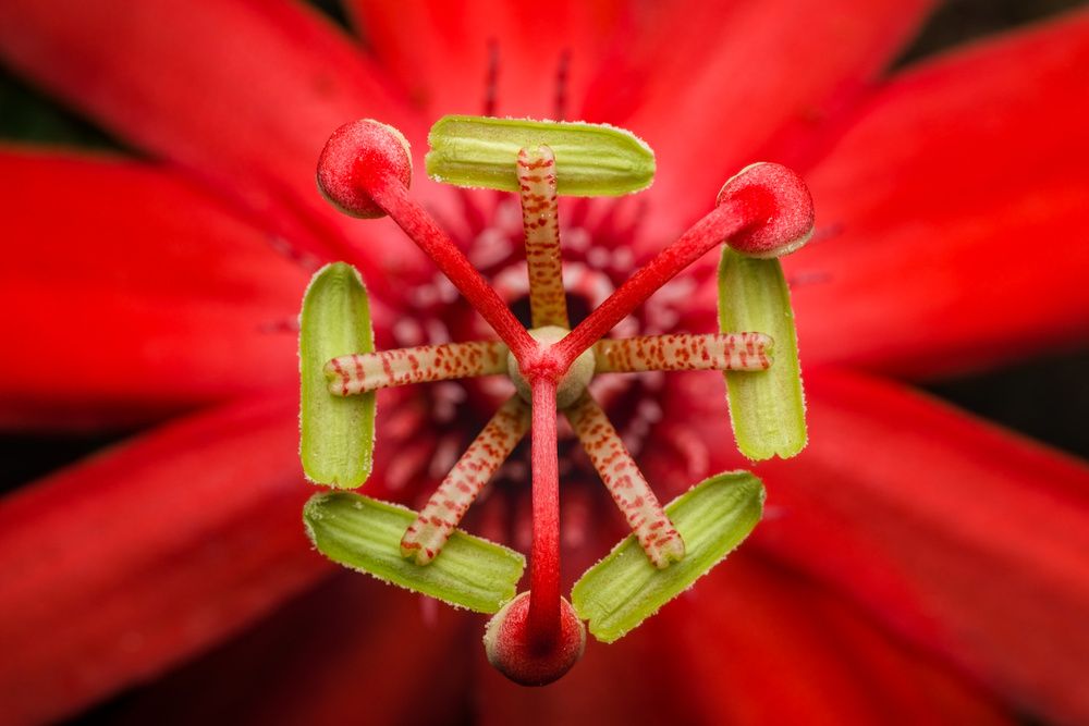 Фотография автора Gerardo Sánchez