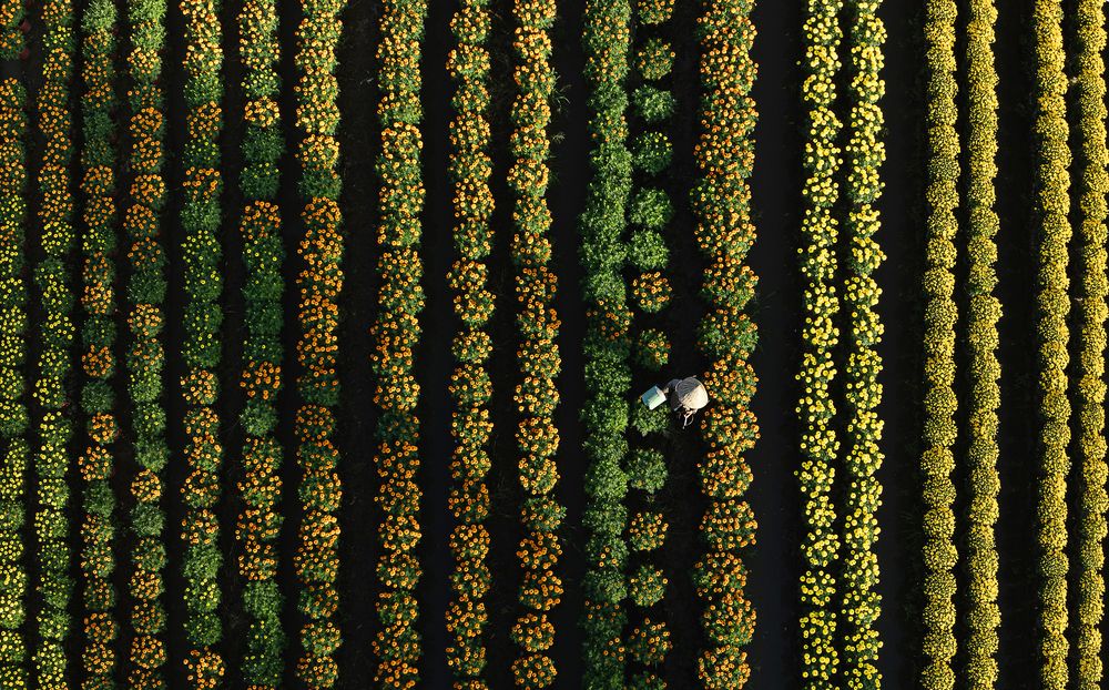 Photograph by Tam Phan Minh Minh