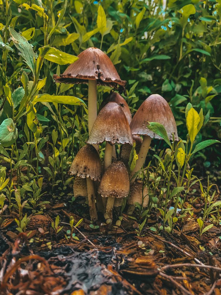 Photograph by Кристина Иванова