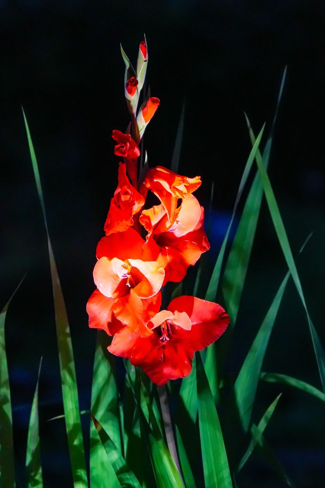 Photograph by Михаил Трусов