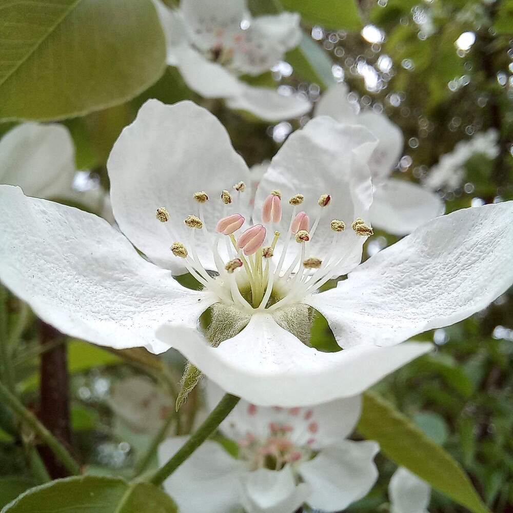 Photograph by Нина Романюк