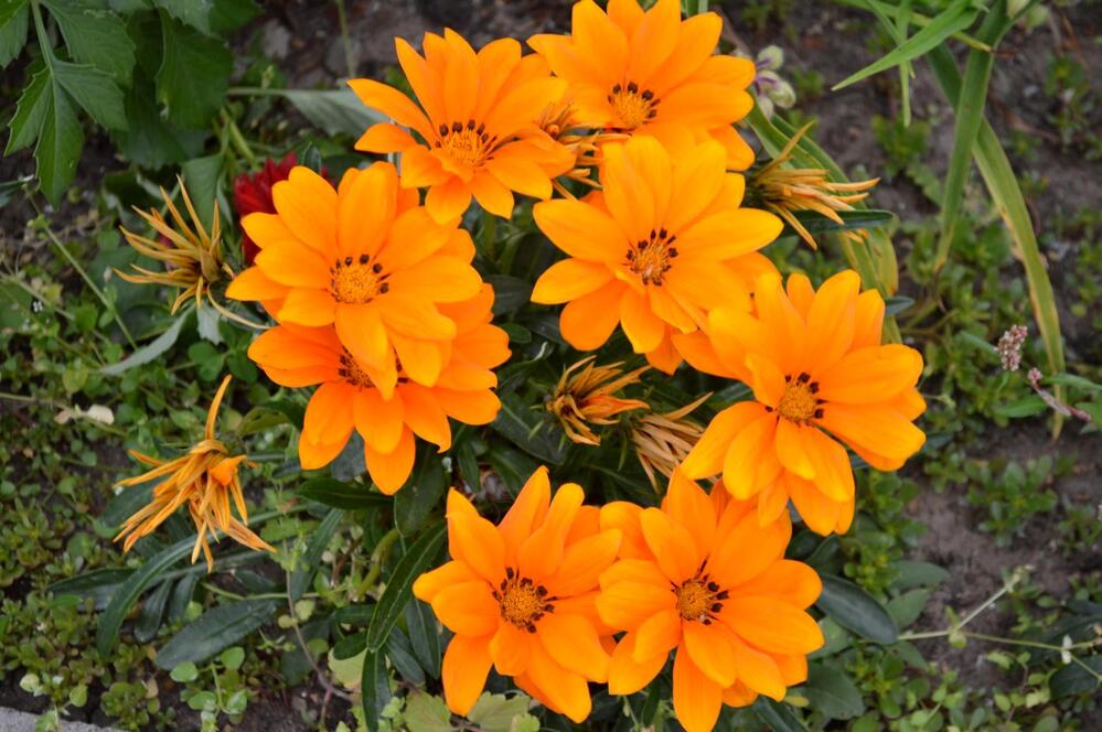 Photograph by Нина Романюк