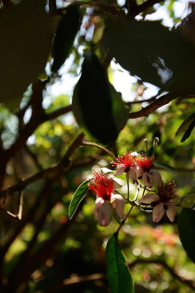 Фотография автора Дмитрий Герасимов