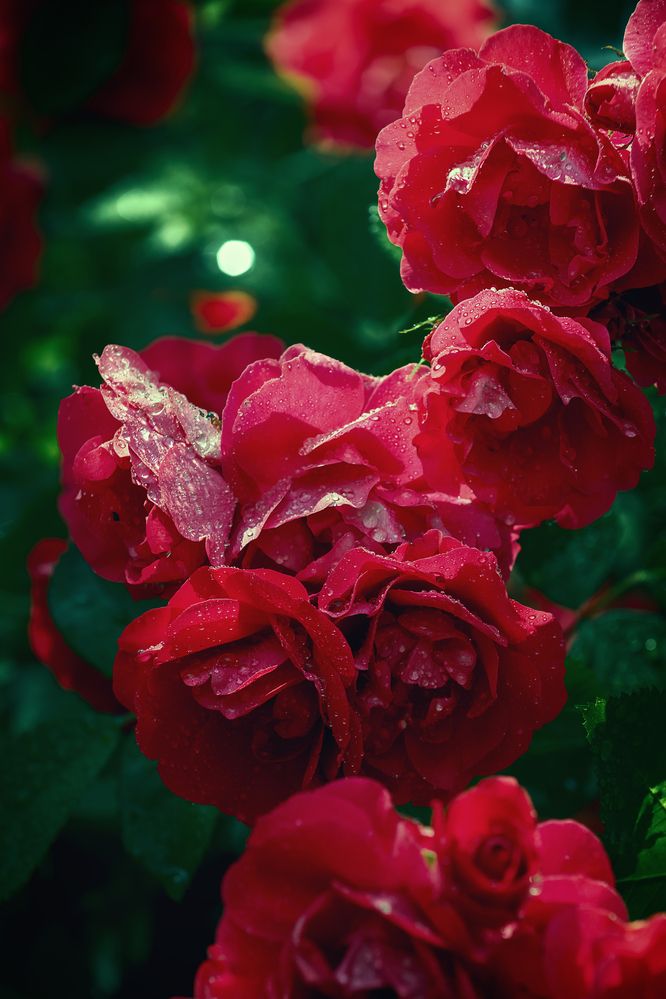 Photograph by Александр Слепцов