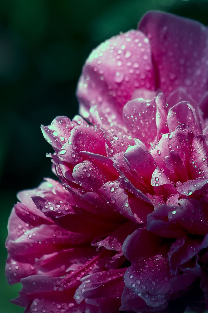 Photograph by Александр Слепцов