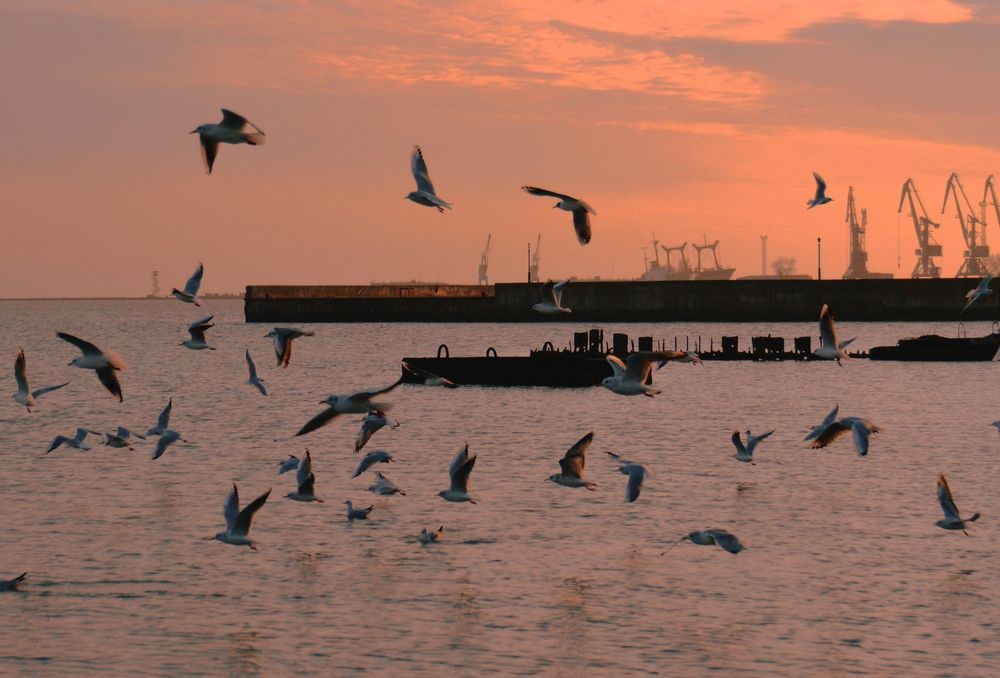 Photograph by Наталья Назаренко