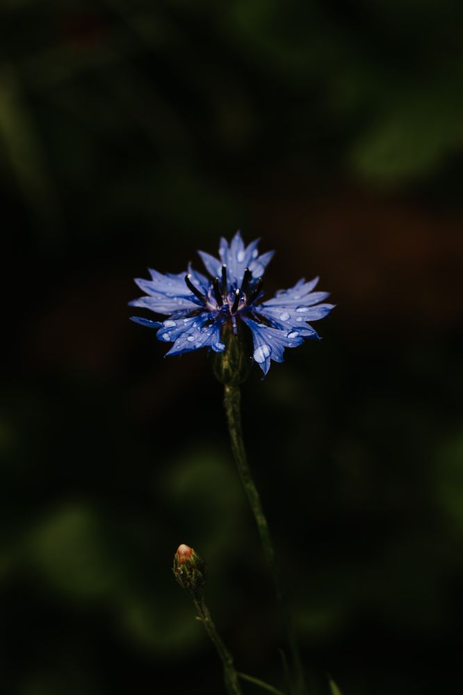 Photograph by Виктория