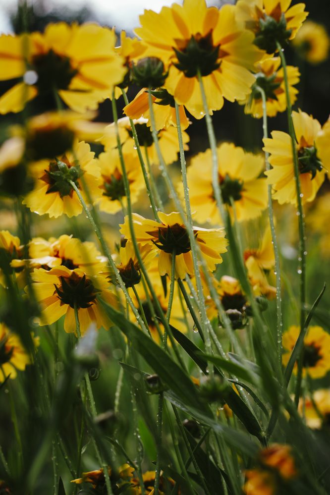 Photograph by Виктория