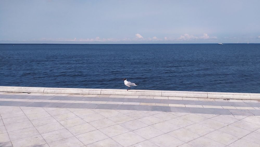 Photograph by Анна