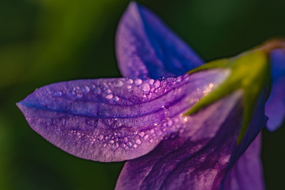 Photograph by Vitaly Zubkov