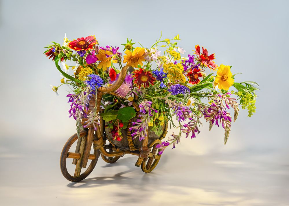 Я буду долго гнать велосипед...