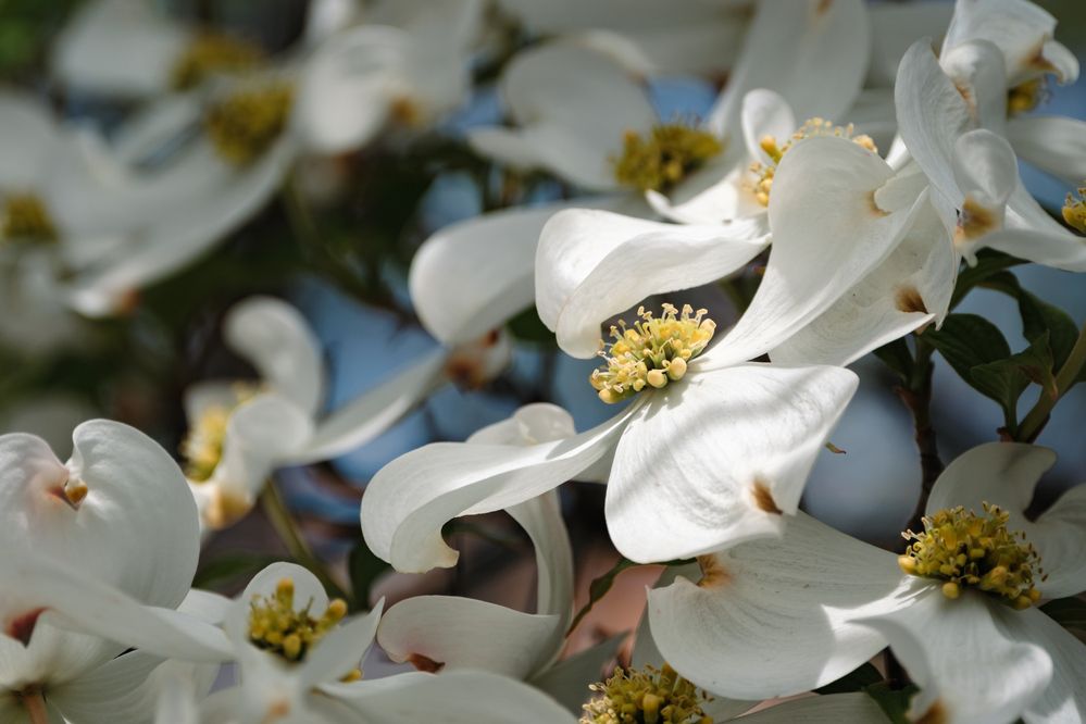 Photograph by Anastasia