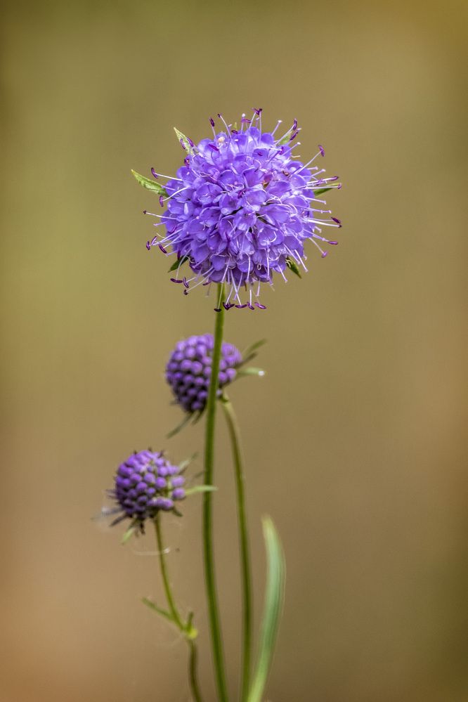 Photograph by Андрей Калинин