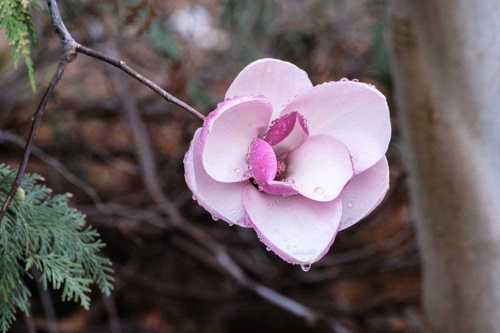 Photograph by Anastasia