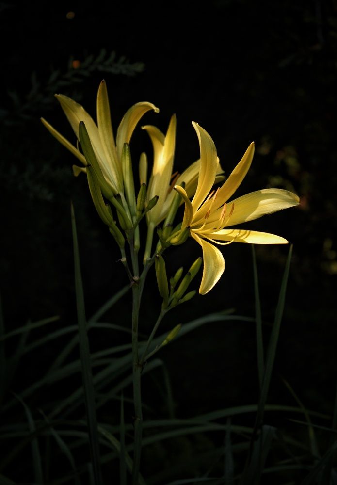 Photograph by Марина Тувышева-Чукавина