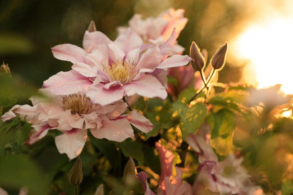 Photograph by Надежда Гриднева