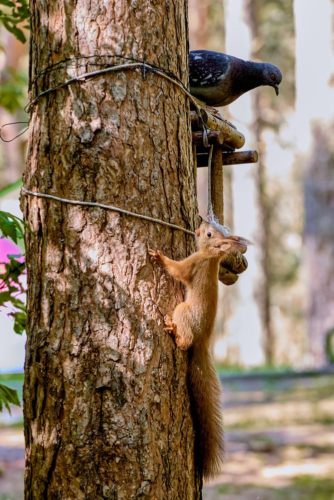 Photograph by Николай Голованов