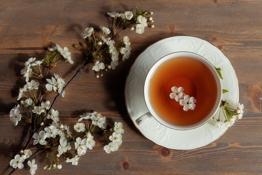 Photograph by Надежда Гриднева