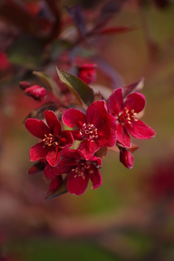 Photograph by Дина Железнова