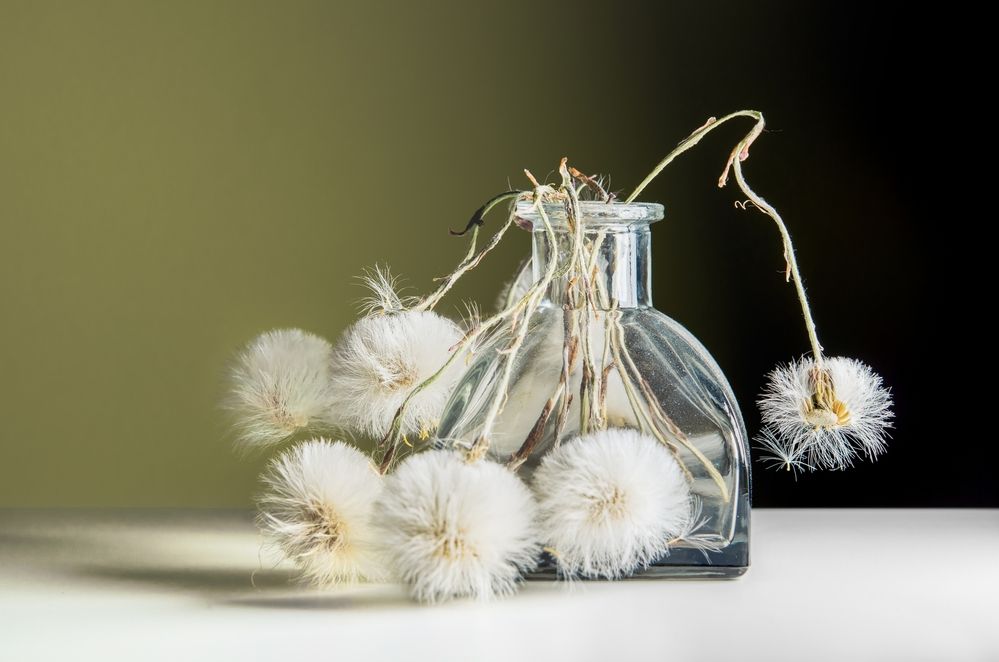 Photograph by Kveta Novotna