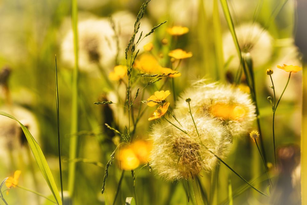 Photograph by Светлана Инькова