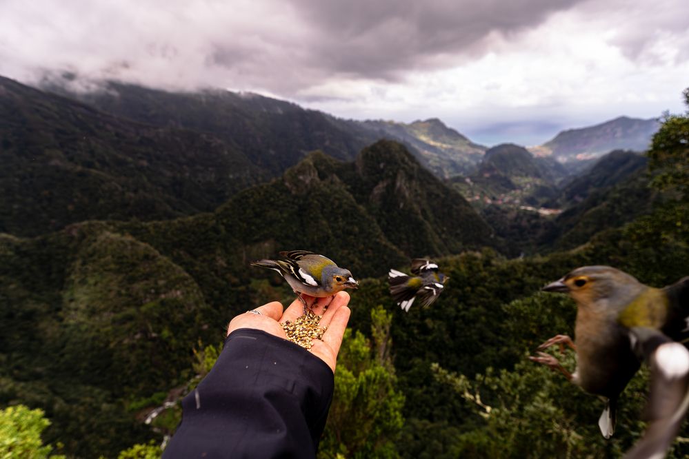 Photograph by Samuel Magnús