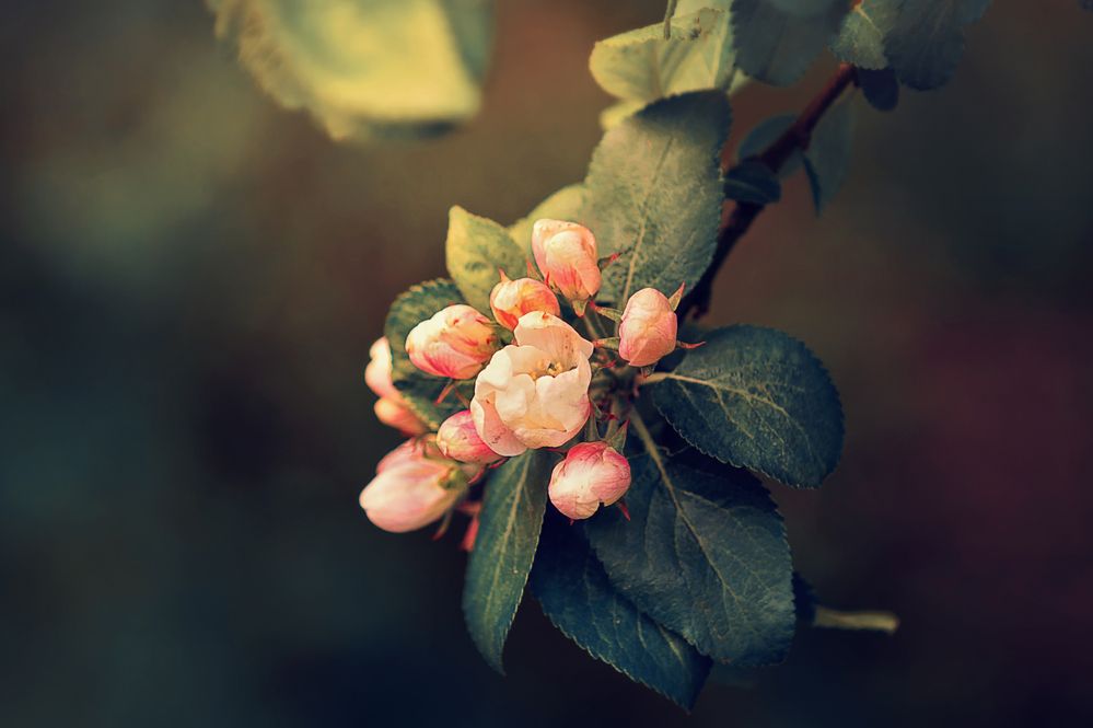 Photograph by Светлана Инькова