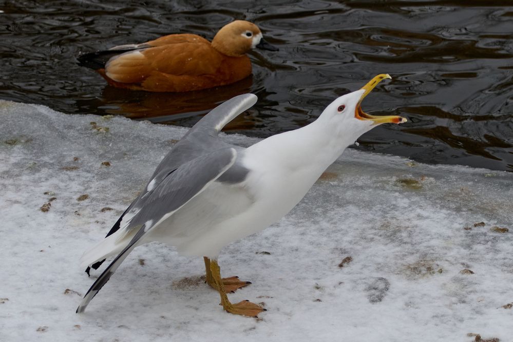 Photograph by Сергей Слукин