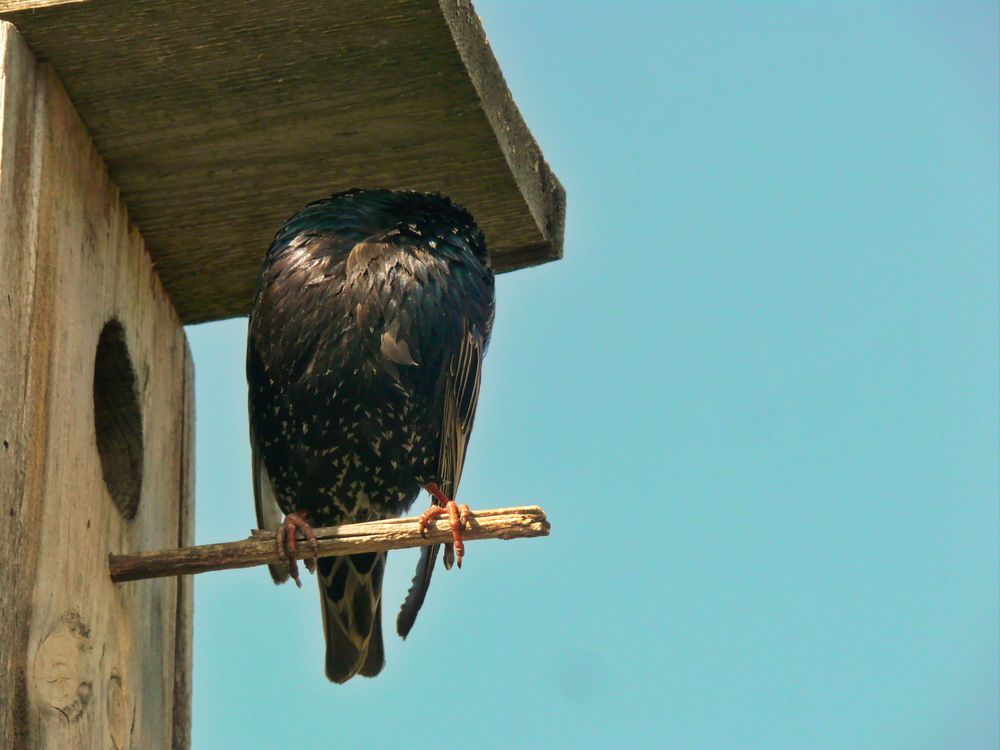 Фотография автора Анатолий Борисов