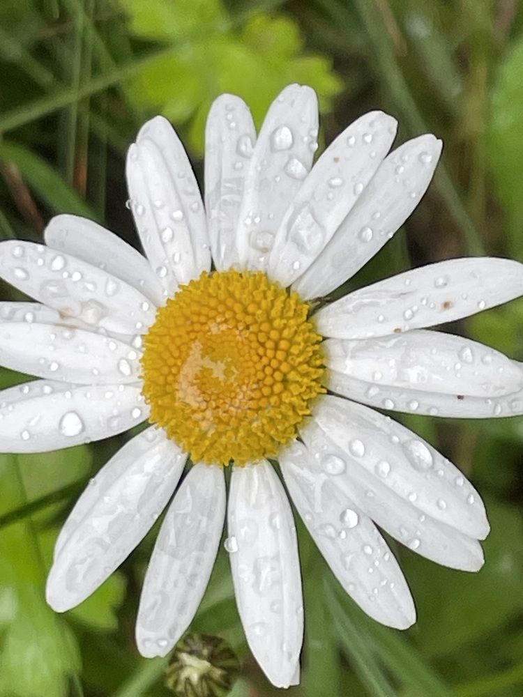 Photograph by Марина Мирошниченко