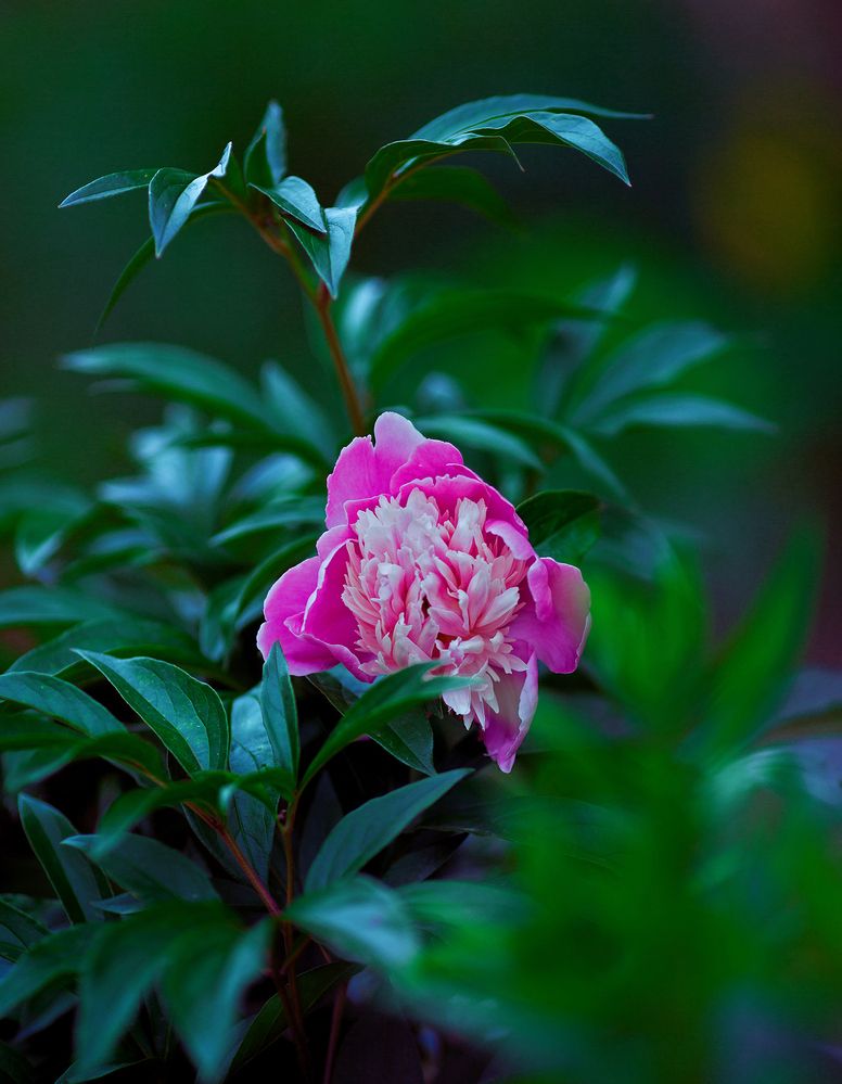 Photograph by Феофанов Николай