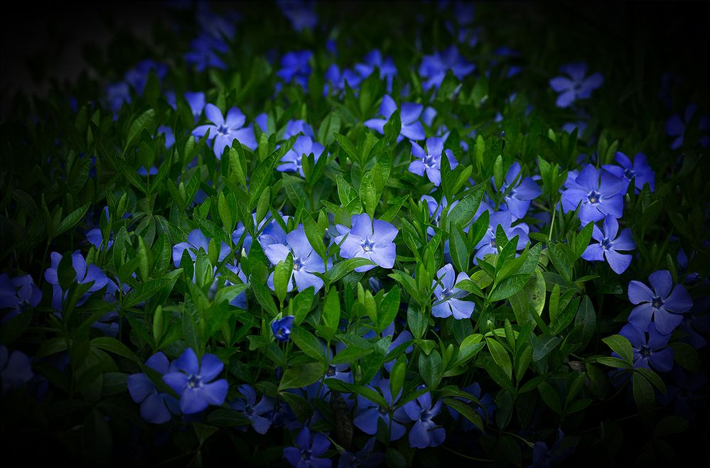 Photograph by Феофанов Николай