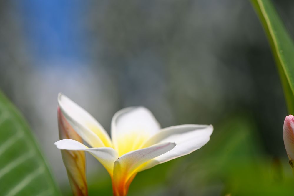 Photograph by Михаил Шорохов