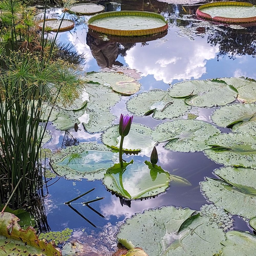 Photograph by Rosane Cortez