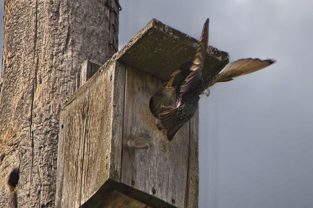 Фотография автора Анатолий Борисов