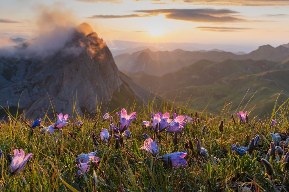 Photograph by Шишкалов Константин