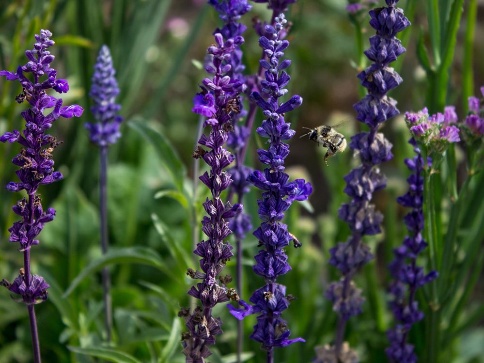 Фотография автора Дарья Рогозина