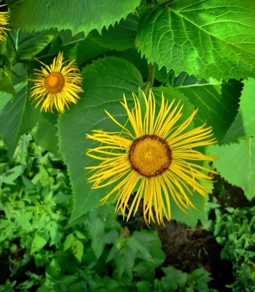 Photograph by Назифе Идилли Озкол