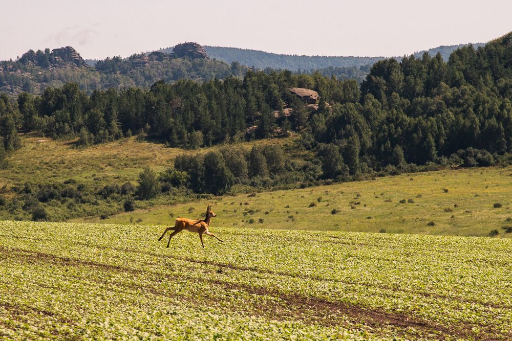 Photograph by Ирина Яук