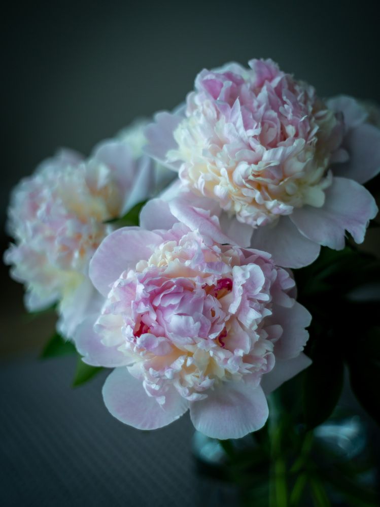 Photograph by Олег Дорошенко