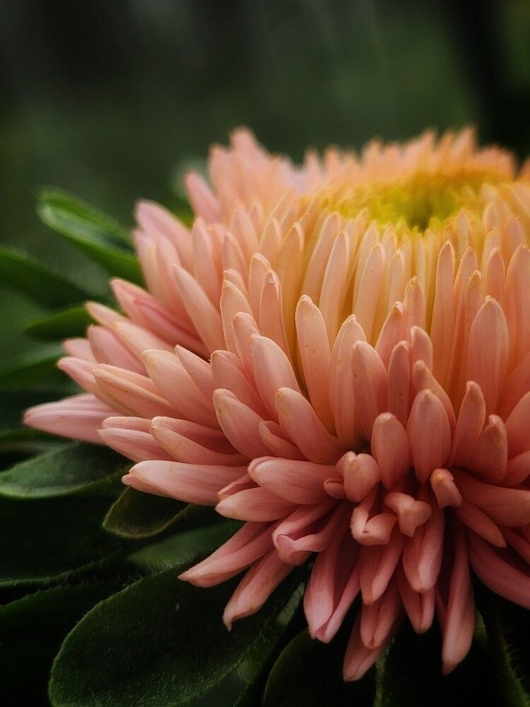 Фотография автора Татьяна Сякина