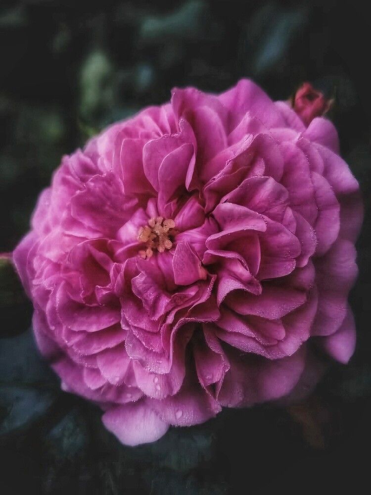 Фотография автора Татьяна Сякина