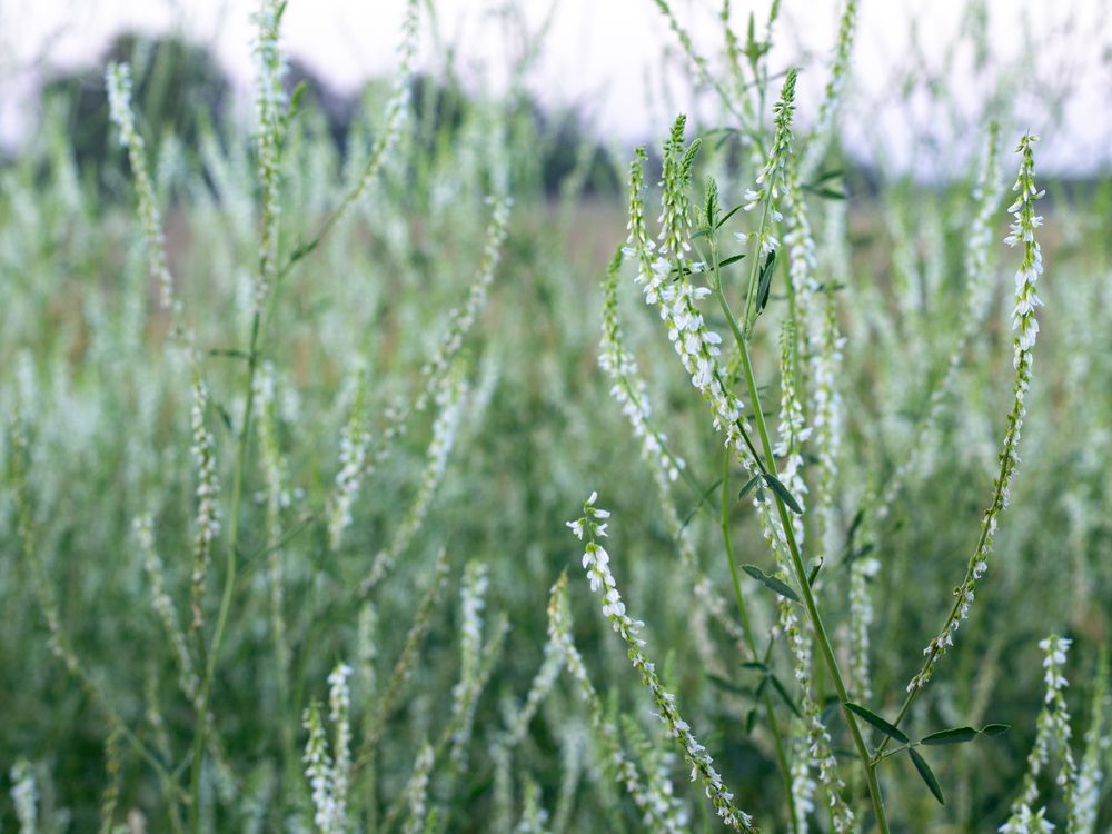 Фотография автора Дарья Рогозина