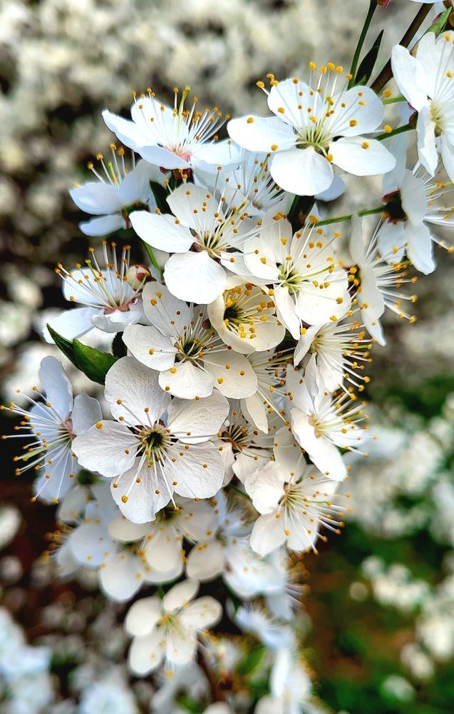 Photograph by Dmitrij Zykunov