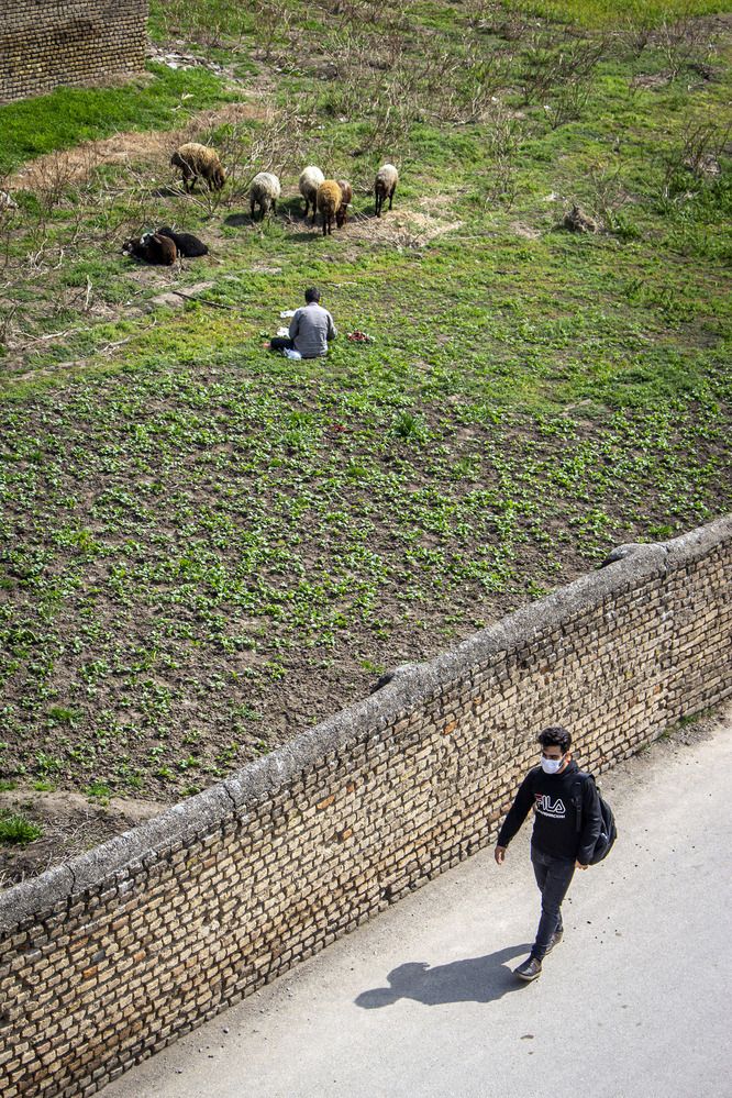 Photograph by Reza Zanganeh